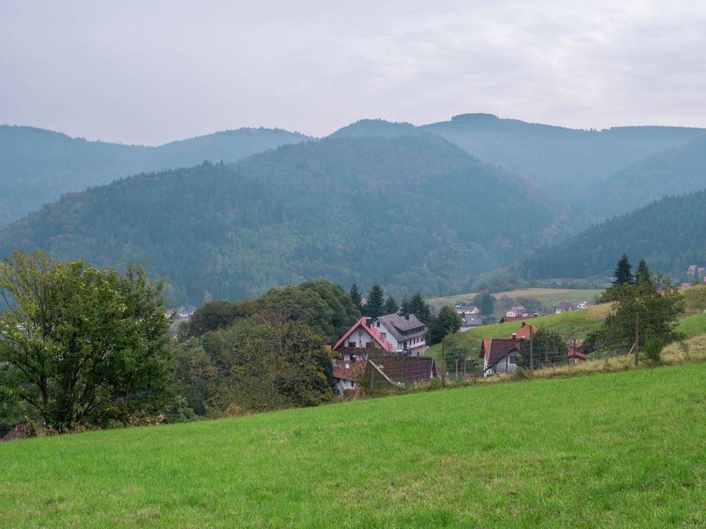 Quaint Apartment In Buhlertal With Private Garden Extérieur photo